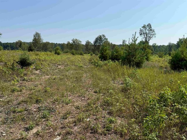 Parcel A7 S Bright Road, Kasson Twp, MI 49664