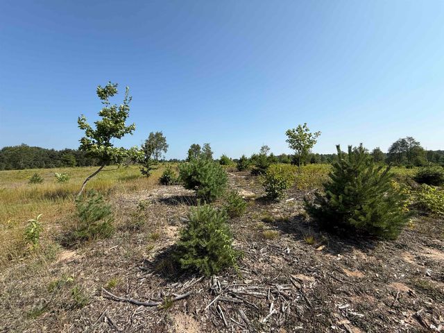 Parcel A7 S Bright Road, Kasson Twp, MI 49664