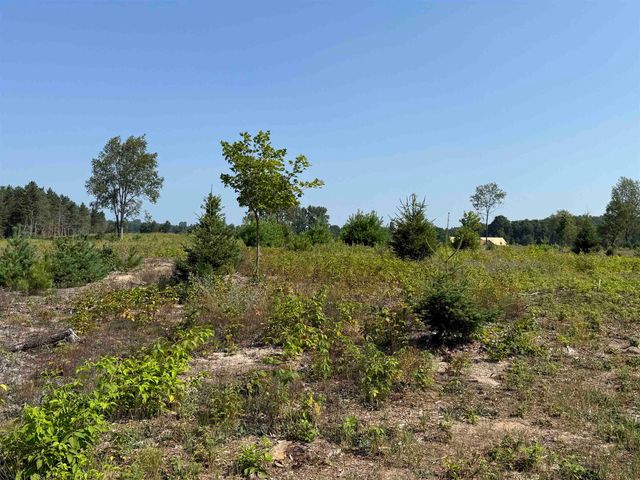 Parcel A7 S Bright Road, Kasson Twp, MI 49664