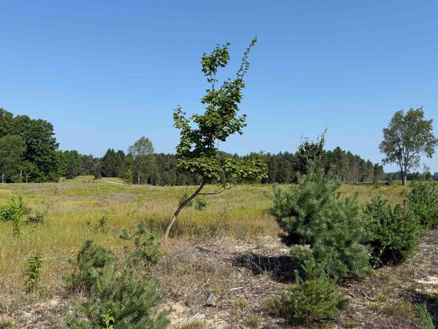 Parcel A7 S Bright Road, Kasson Twp, MI 49664