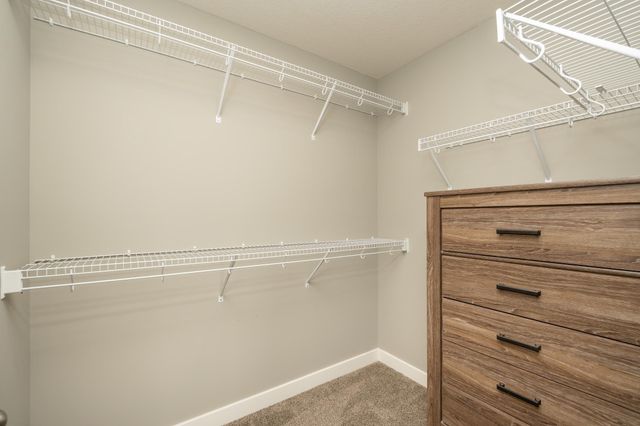 3165 Sunshine Curve NW, Prior Lake, MN 55352