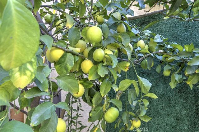 12325 Sweetbriar, Pacoima, CA 91331