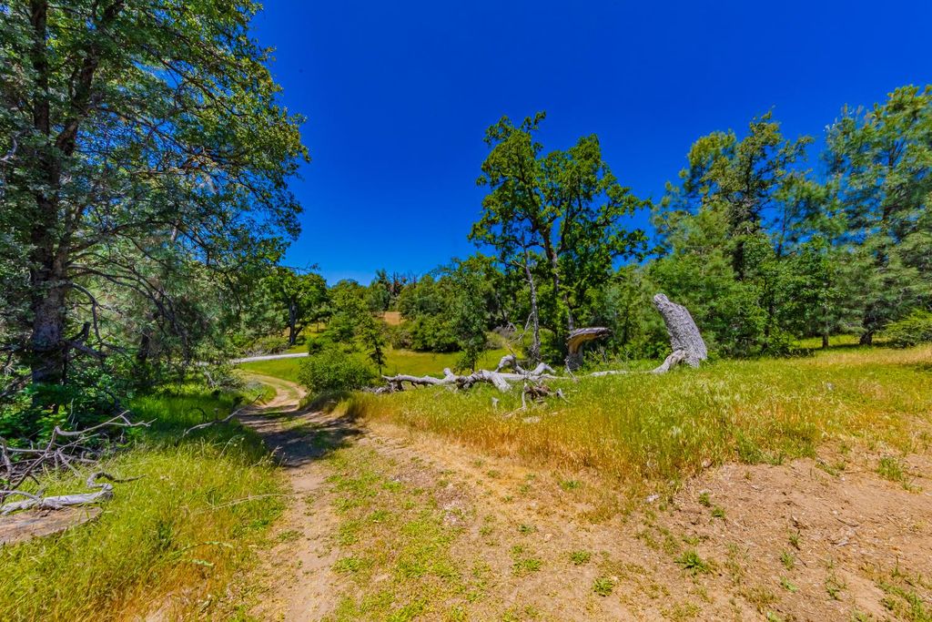 Image 45 of property listing at 47457 Road 620, Oakhurst, CA 93644