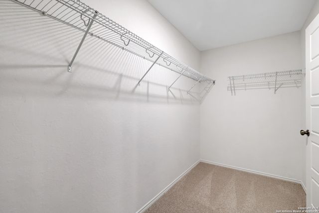 11637 Anselmo, San Antonio, TX 78254