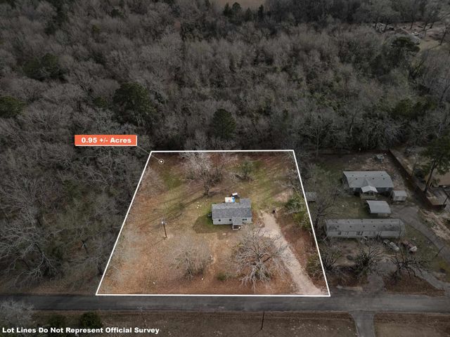 1767 County Road 2224, Daingerfield, TX 75638