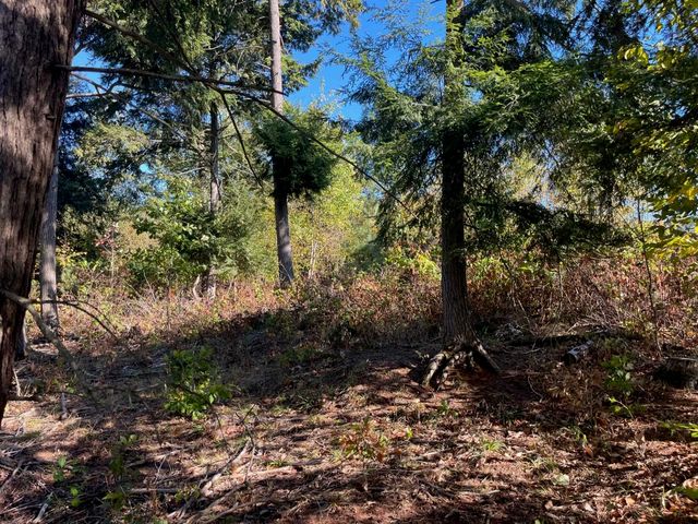 8852 Hemlock Hill Drive, Traverse City, MI 49685