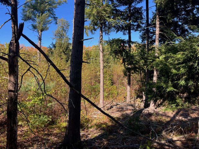 8852 Hemlock Hill Drive, Traverse City, MI 49685