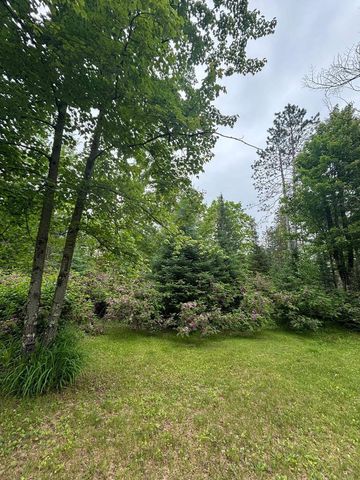 13344 HWY 32, Mountain, WI 54149