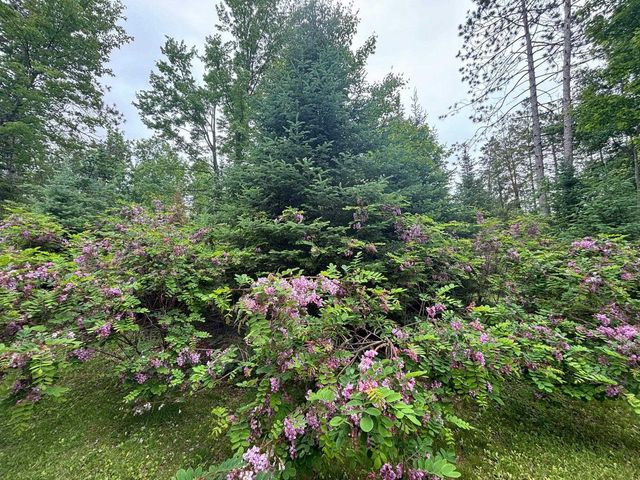 13344 HWY 32, Mountain, WI 54149