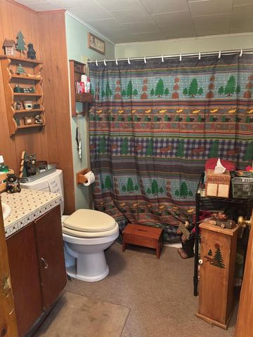 13344 HWY 32, Mountain, WI 54149