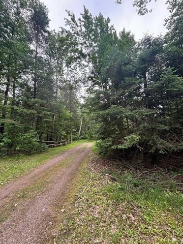 13344 HWY 32, Mountain, WI 54149