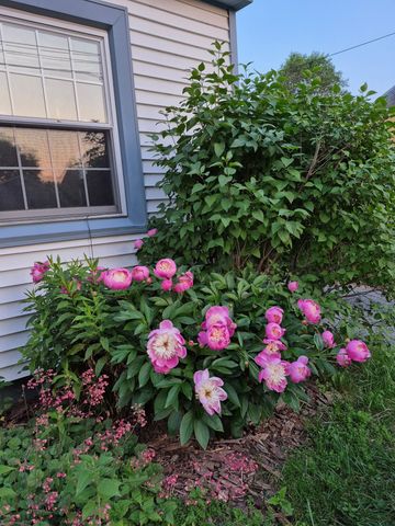 93 Russell Street, Winooski, VT 05404