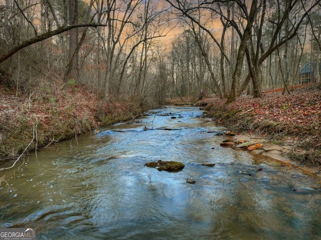 158 Tree Line Lane, Ellijay, GA 30536