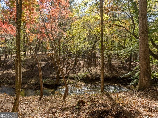 158 Tree Line Lane, Ellijay, GA 30536