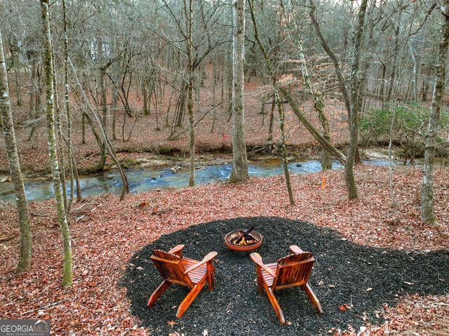 158 Tree Line Lane, Ellijay, GA 30536