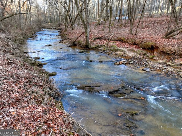 158 Tree Line Lane, Ellijay, GA 30536