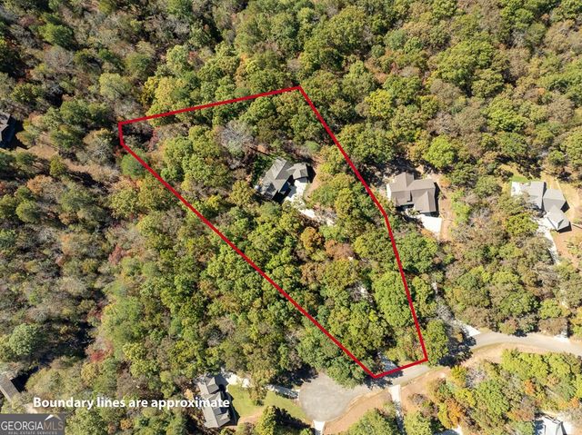 158 Tree Line Lane, Ellijay, GA 30536