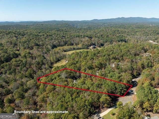 158 Tree Line Lane, Ellijay, GA 30536