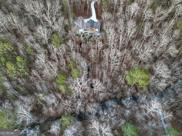 158 Tree Line Lane, Ellijay, GA 30536