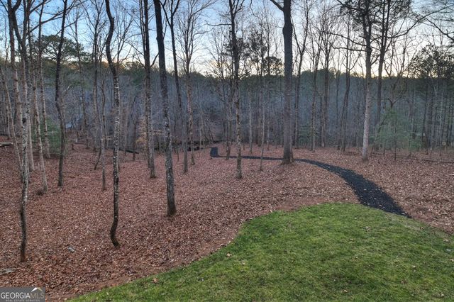 158 Tree Line Lane, Ellijay, GA 30536