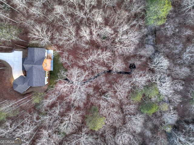 158 Tree Line Lane, Ellijay, GA 30536