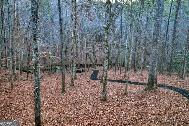 158 Tree Line Lane, Ellijay, GA 30536