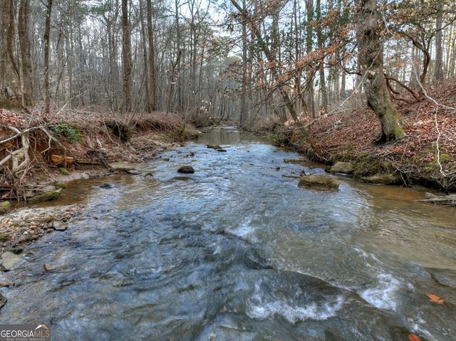 158 Tree Line Lane, Ellijay, GA 30536