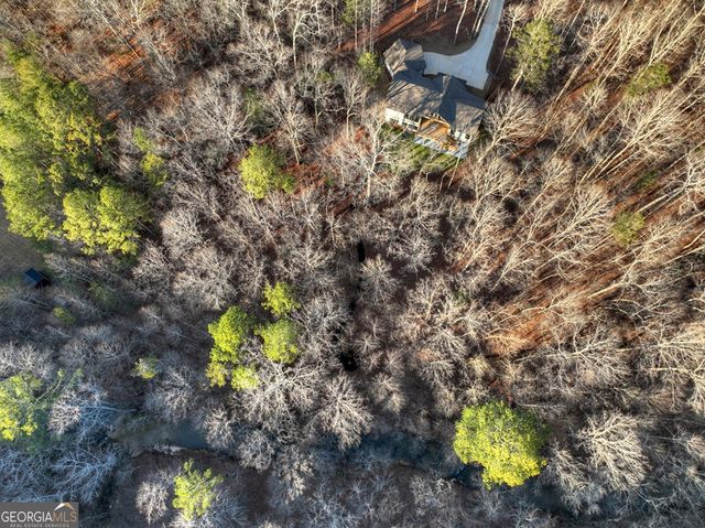 158 Tree Line Lane, Ellijay, GA 30536