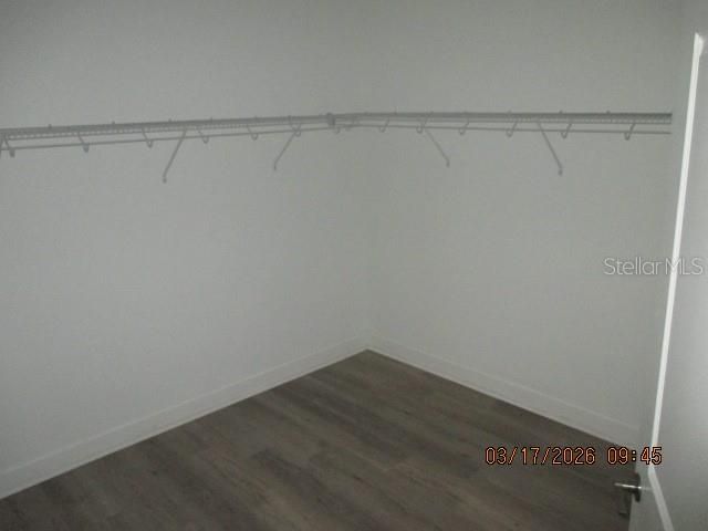 7177 TALAMORE DRIVE, Wesley Chapel, FL 33545