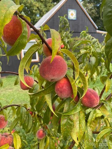 4565 Rob Neal Road, Heath Springs, SC 29058