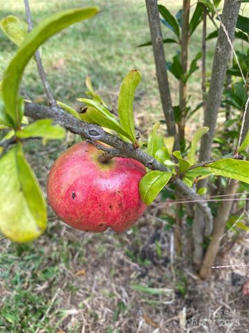 4565 Rob Neal Road, Heath Springs, SC 29058