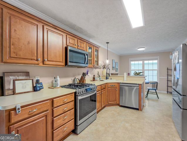 131 Mill Pond Court, Milner, GA 30257