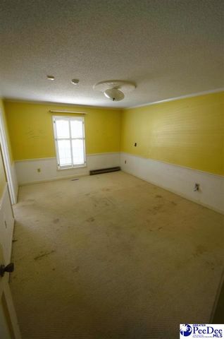 2212 Poor Farm Road, Effingham, SC 29541