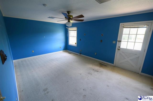 2212 Poor Farm Road, Effingham, SC 29541