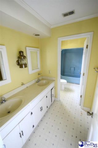 2212 Poor Farm Road, Effingham, SC 29541