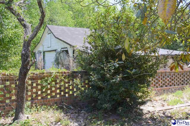 2212 Poor Farm Road, Effingham, SC 29541