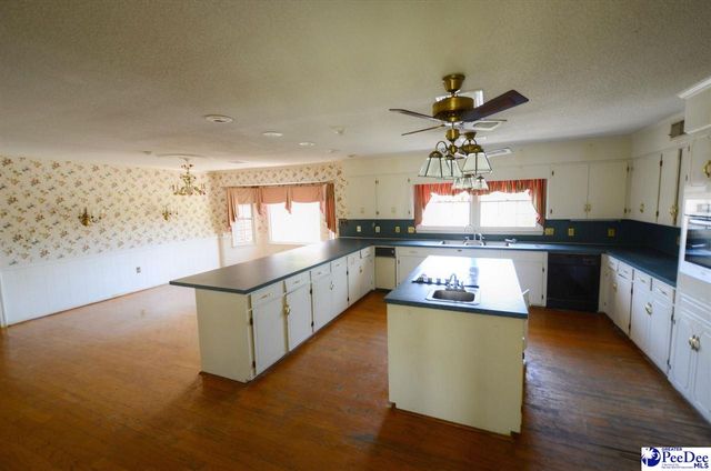 2212 Poor Farm Road, Effingham, SC 29541
