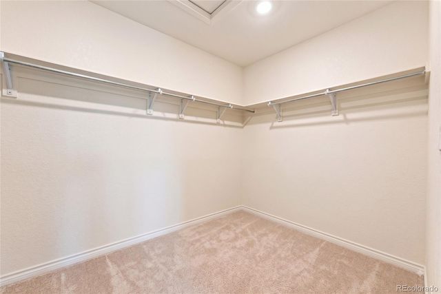 430 Thrush Place, Johnstown, CO 80534