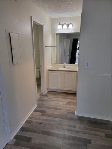 4211 CHATHAM OAK COURT 113, Tampa, FL 33624