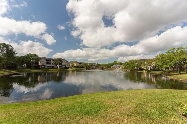 4211 CHATHAM OAK COURT 113, Tampa, FL 33624