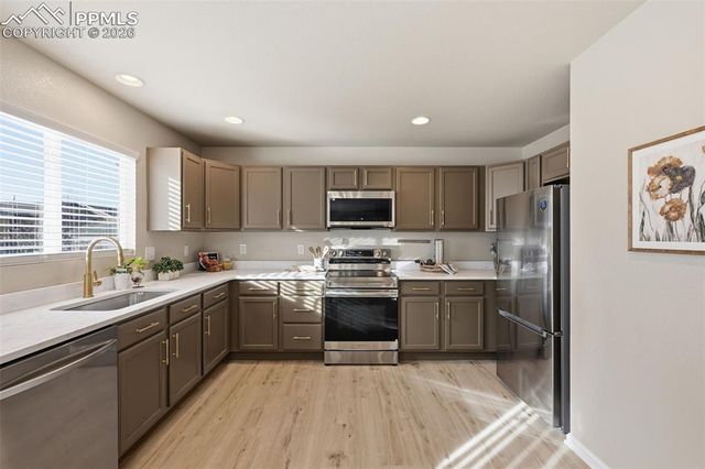 11578 Black Maple Lane, Colorado Springs, CO 80921