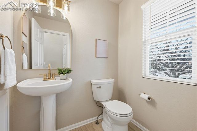 11578 Black Maple Lane, Colorado Springs, CO 80921