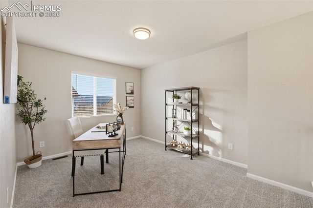 11578 Black Maple Lane, Colorado Springs, CO 80921