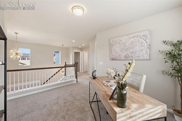 11578 Black Maple Lane, Colorado Springs, CO 80921