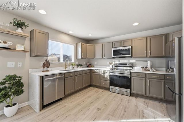 11578 Black Maple Lane, Colorado Springs, CO 80921