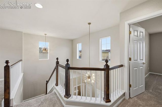 11578 Black Maple Lane, Colorado Springs, CO 80921