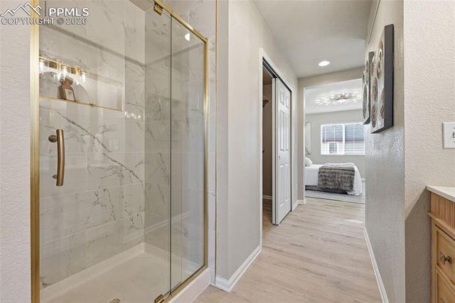 11578 Black Maple Lane, Colorado Springs, CO 80921