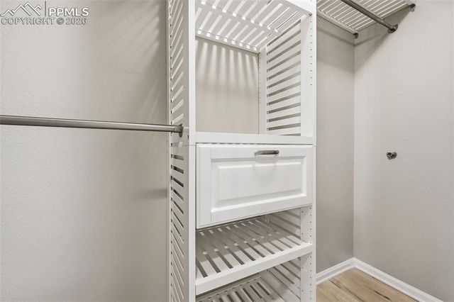 11578 Black Maple Lane, Colorado Springs, CO 80921