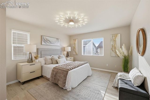 11578 Black Maple Lane, Colorado Springs, CO 80921