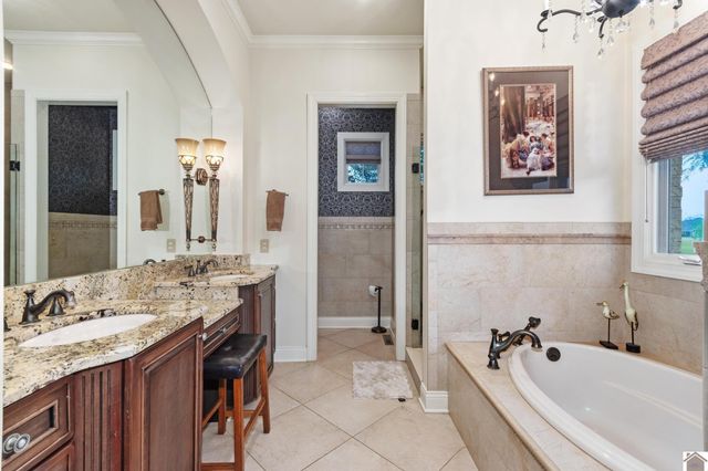 250 Spyglass 89 & 90, Ledbetter, KY 42058